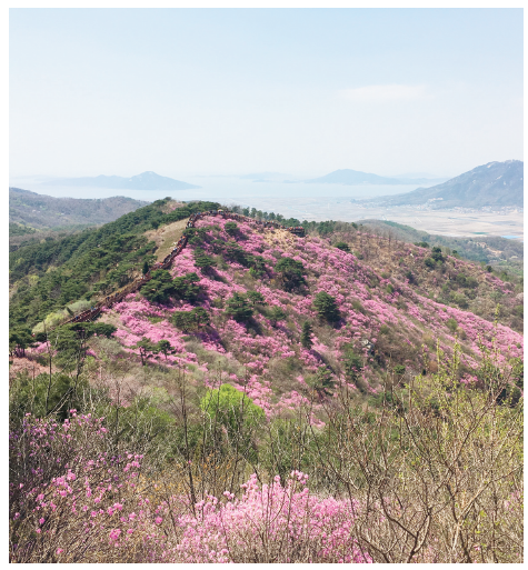 에디터 사진