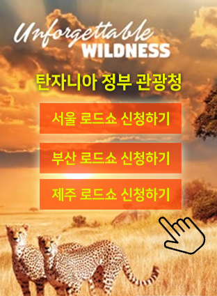 탄자니아 로드쇼