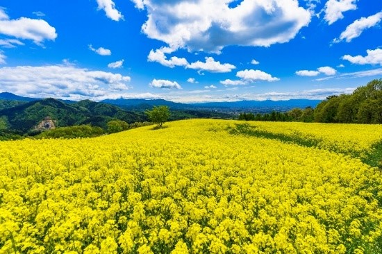 뉴스 사진