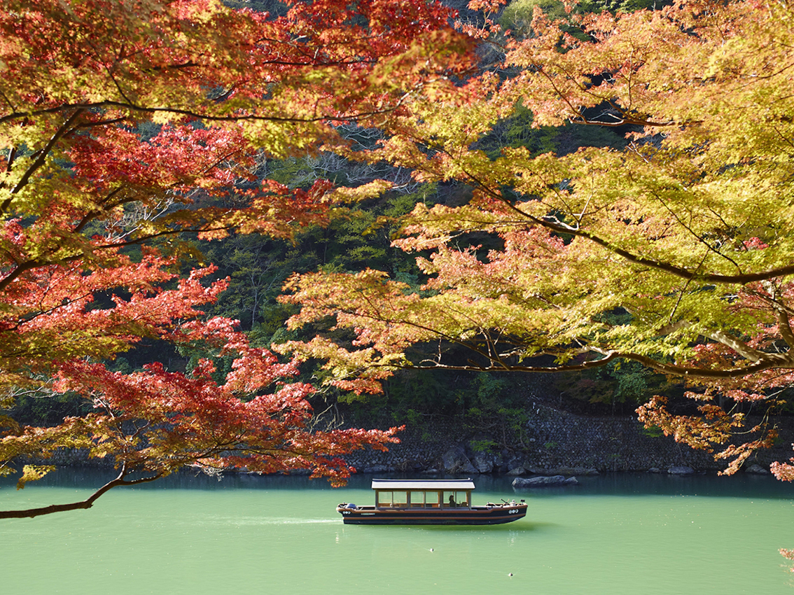 뉴스 사진